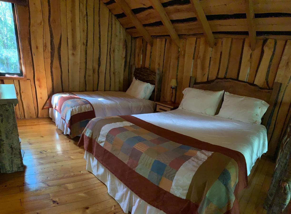 Cabanas Natural Park Lodge Pucón Extérieur photo