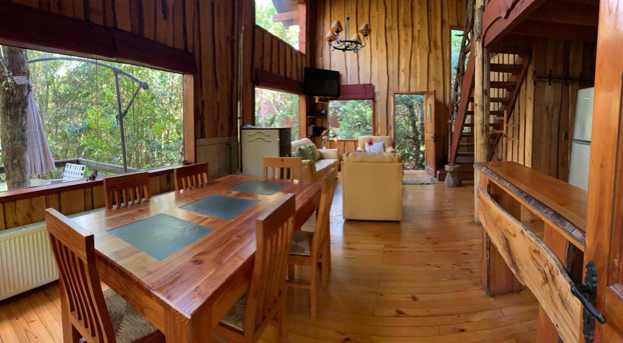 Cabanas Natural Park Lodge Pucón Extérieur photo