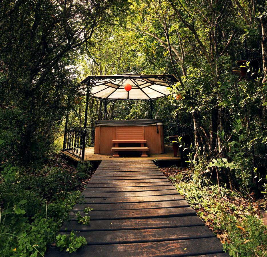 Cabanas Natural Park Lodge Pucón Extérieur photo