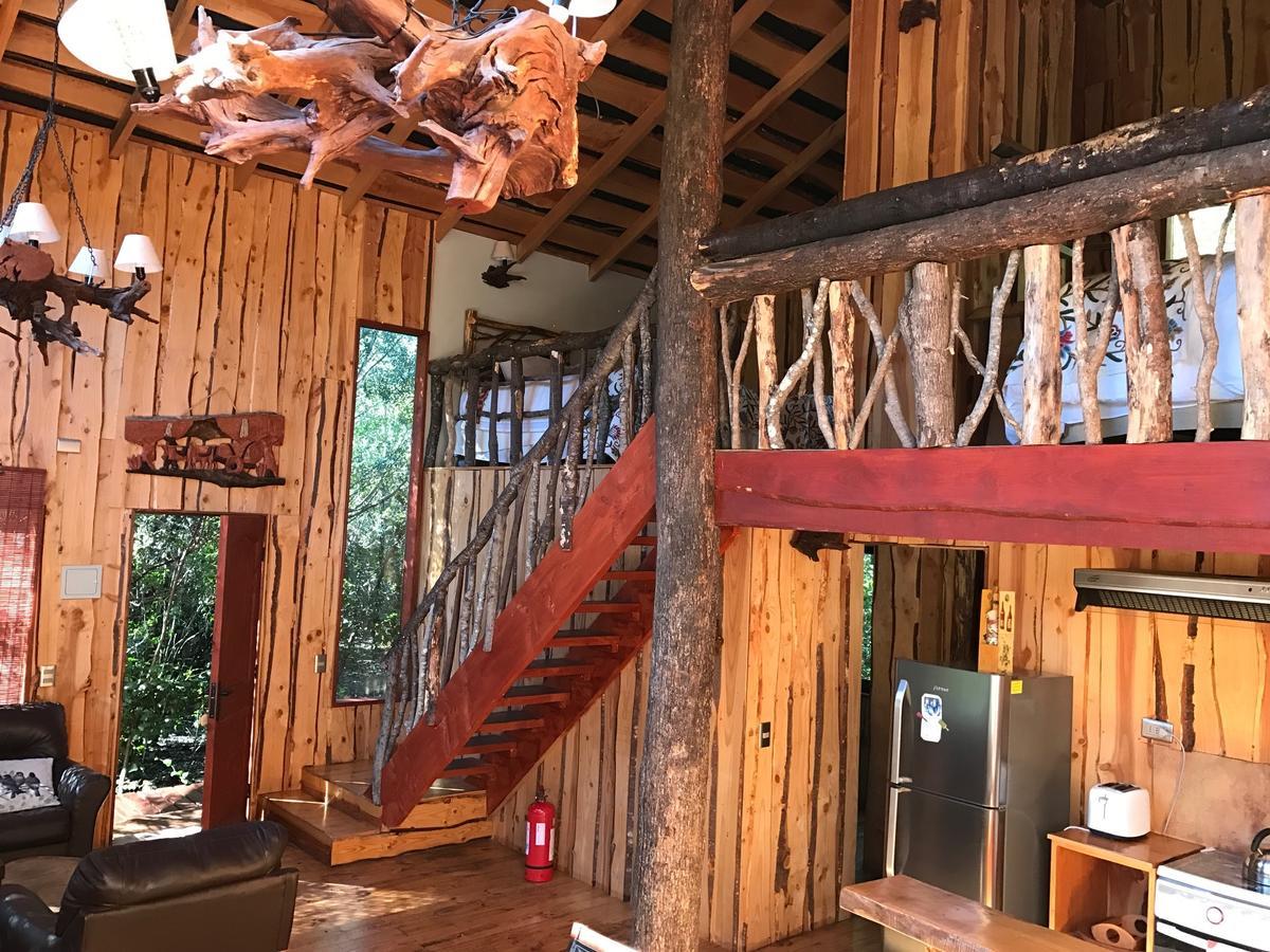 Cabanas Natural Park Lodge Pucón Extérieur photo